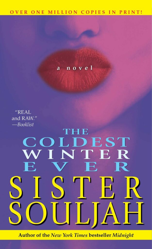 cover of novel featuring the face of a person with red lipstick